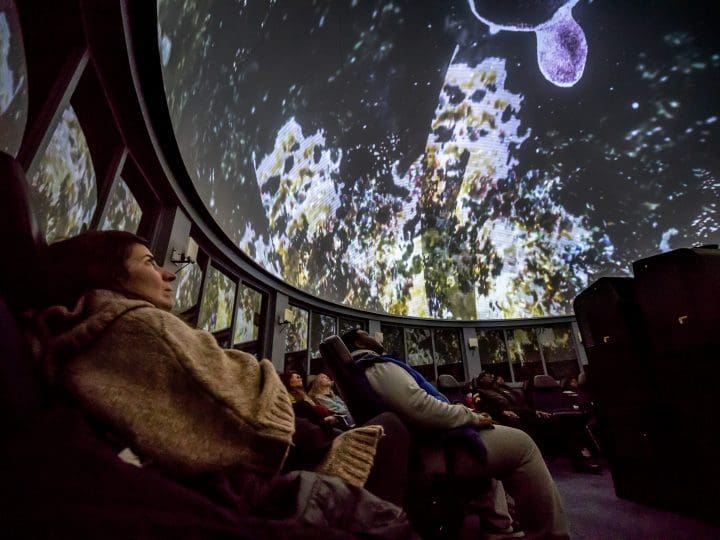planetarium show at Newark Museum of Art