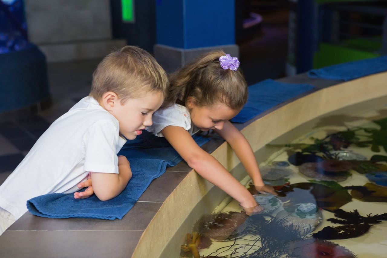 Little siblings looking at fish tank at the aquarium