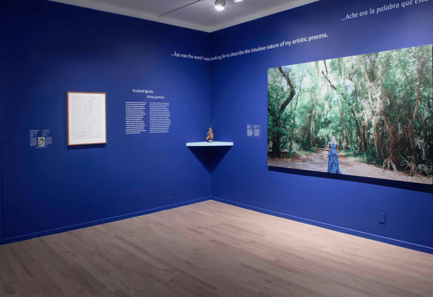 Installation view, Adama Delphine Fawundu: In the Spirit of Àṣẹ, The Newark Museum of Art. Photos by Richard Goodbody